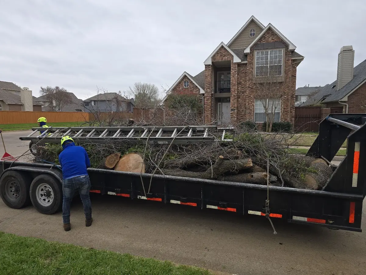 Expert Tree Removal with proper safety equipment in Omaha